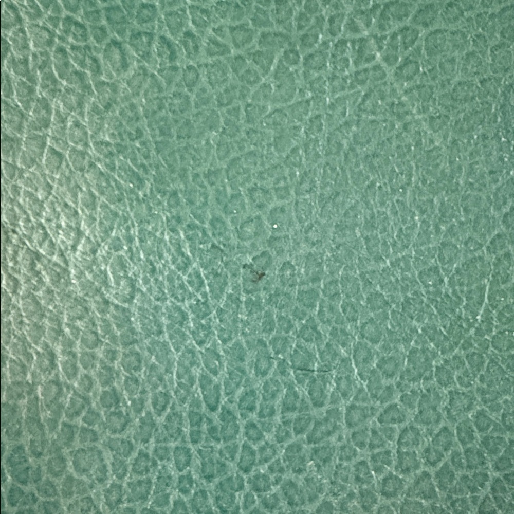 Plinio Visona Made In Italy Teal Pebbled Leather Tote With Bamboo Handles - Picture 7 of 8